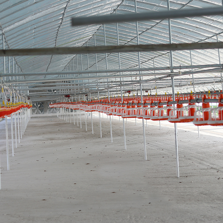 750w Poultry Farm Equipment 380v Chicken Drinking pan feeding system