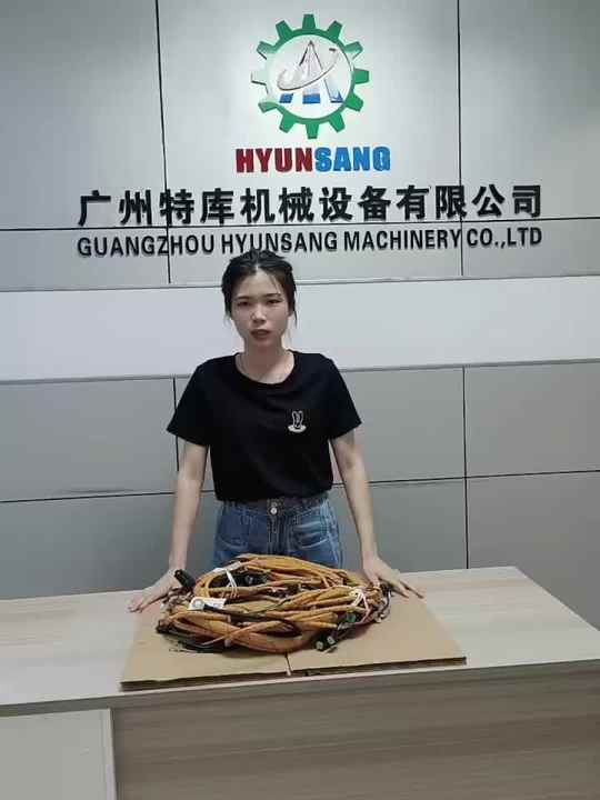 Excavator Parts Wire Harness 3106815 4449447 3111779 3110510 for