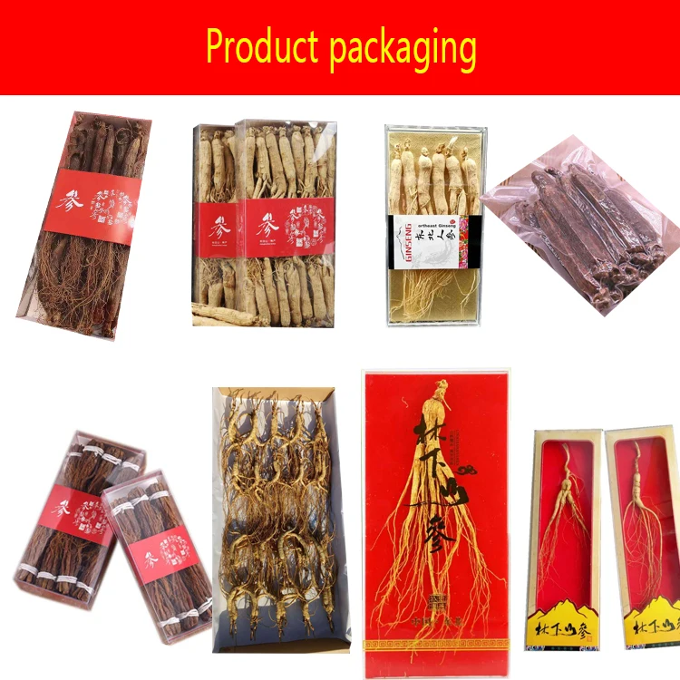 Free Samples Raw Panax Ginseng Red Ginseng Extract