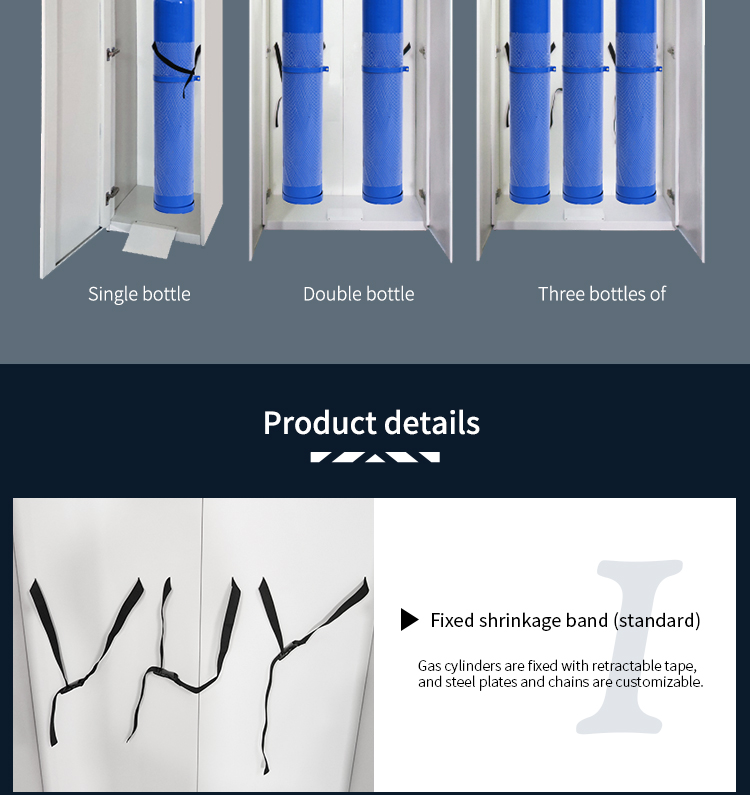 Hot sale All steel Gas Cylinder Cabinet  for Laboratory Lab Furniture/