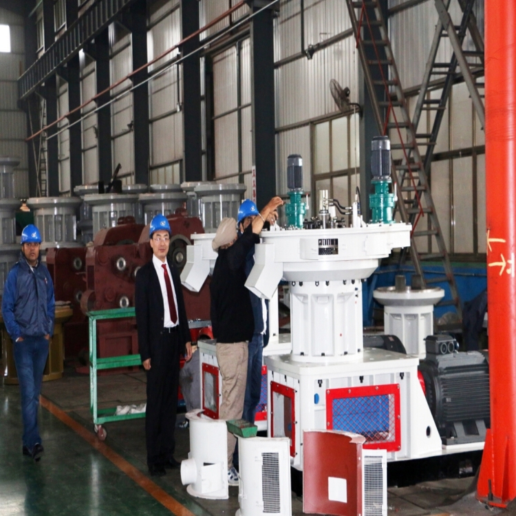 LONGZE pellet machine with wooden production
