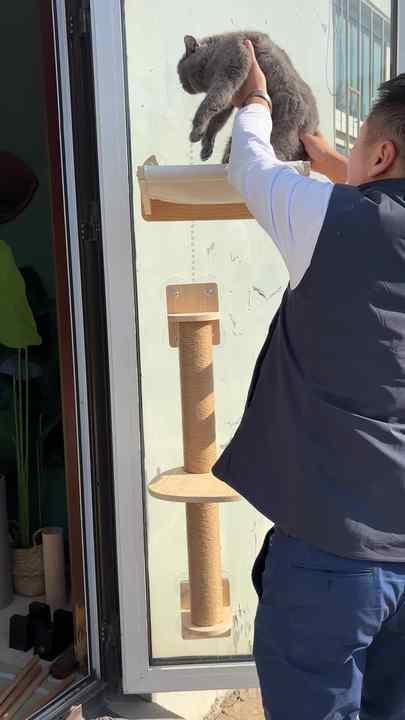 Photo inspiration: Gallery Detail: Luxury Eco Friendly Window Wood Cordless Strong Suction Cups Mounted