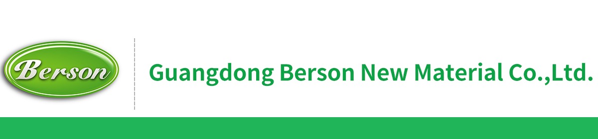 Company Overview - Guangdong Berson New Materials Co., Ltd.