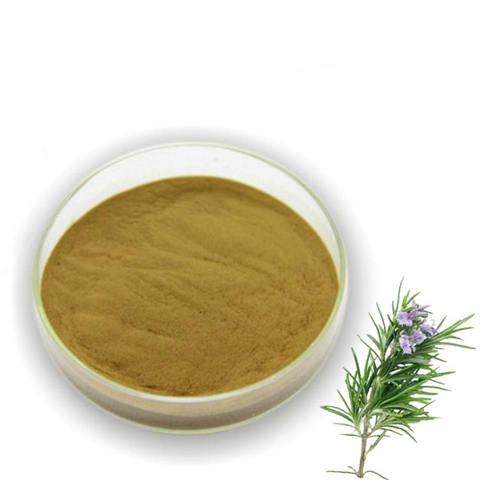 rosemary extract