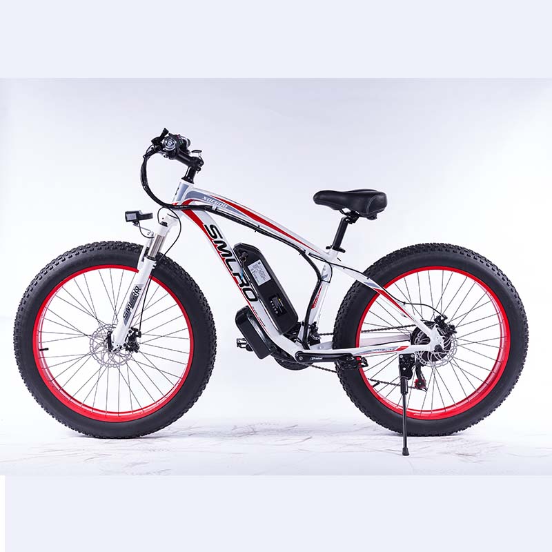 1000 watt ebike motor