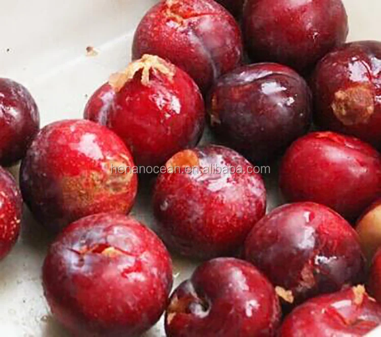 Fruit core remover cherry plum date core pitting machine for sale
