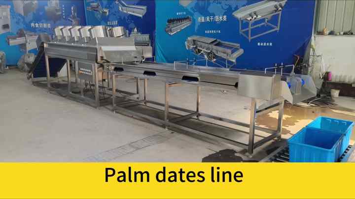 Palm Dates Brush Washing Line Palm Dates Processing Line Potato Washing ...