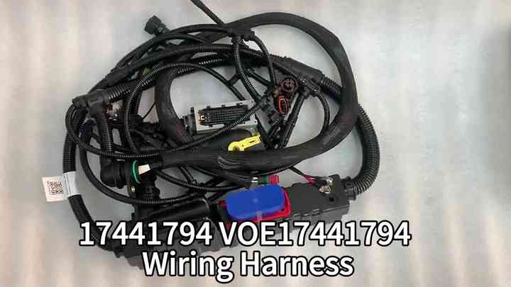 Do電地 17441794 VOE17441794 Diesel Engine Wire Wiring Harness for