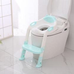 Baby Detachable Potty Toilet Seat, Foldable Toilet Ladder Potty Training Seat With Ladder