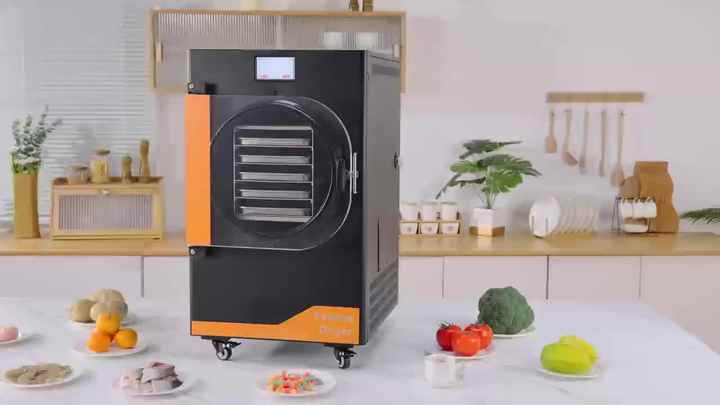 Automatic 6KG Mini Freeze Dry Machine for Food Processing ...