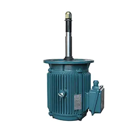 Cooling tower motor