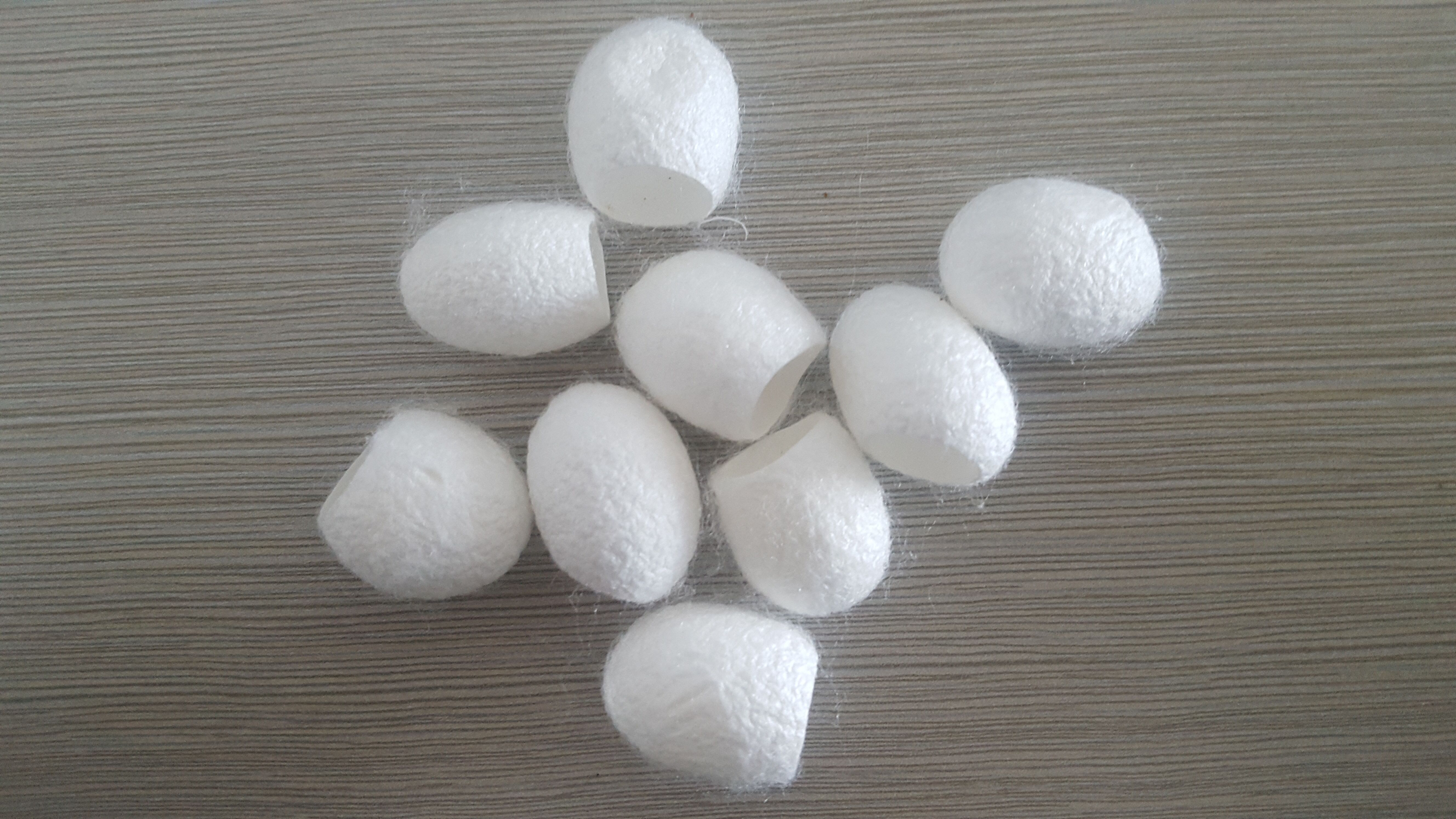 厂家销售100% 天然切蚕茧: - buy silkworm cocoon,cut silkworm