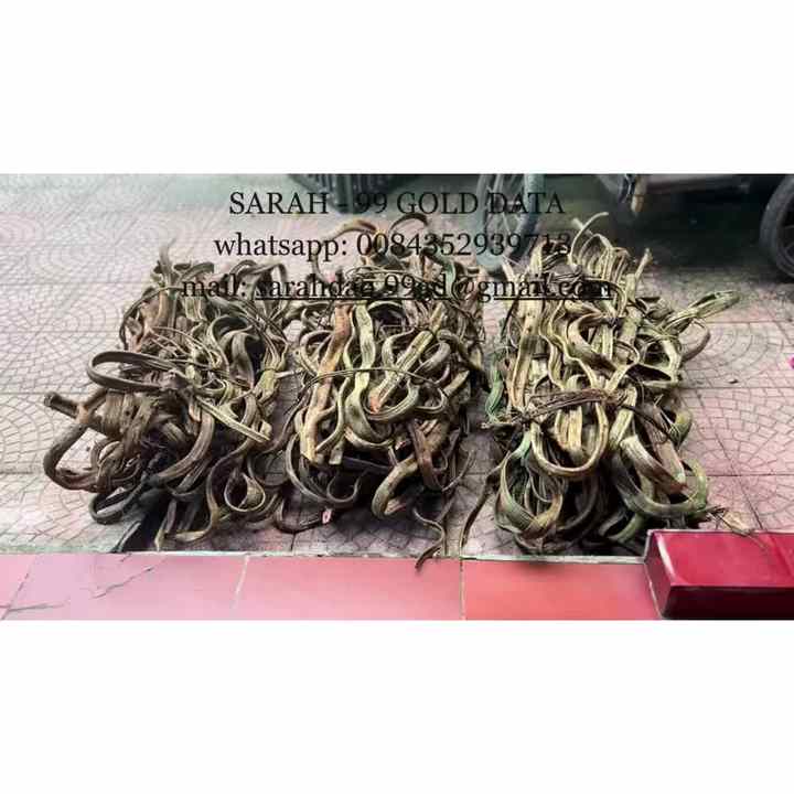 Decorative Twisted Liana Vines for Tree Trunk Wrapping - Natural Forest ...