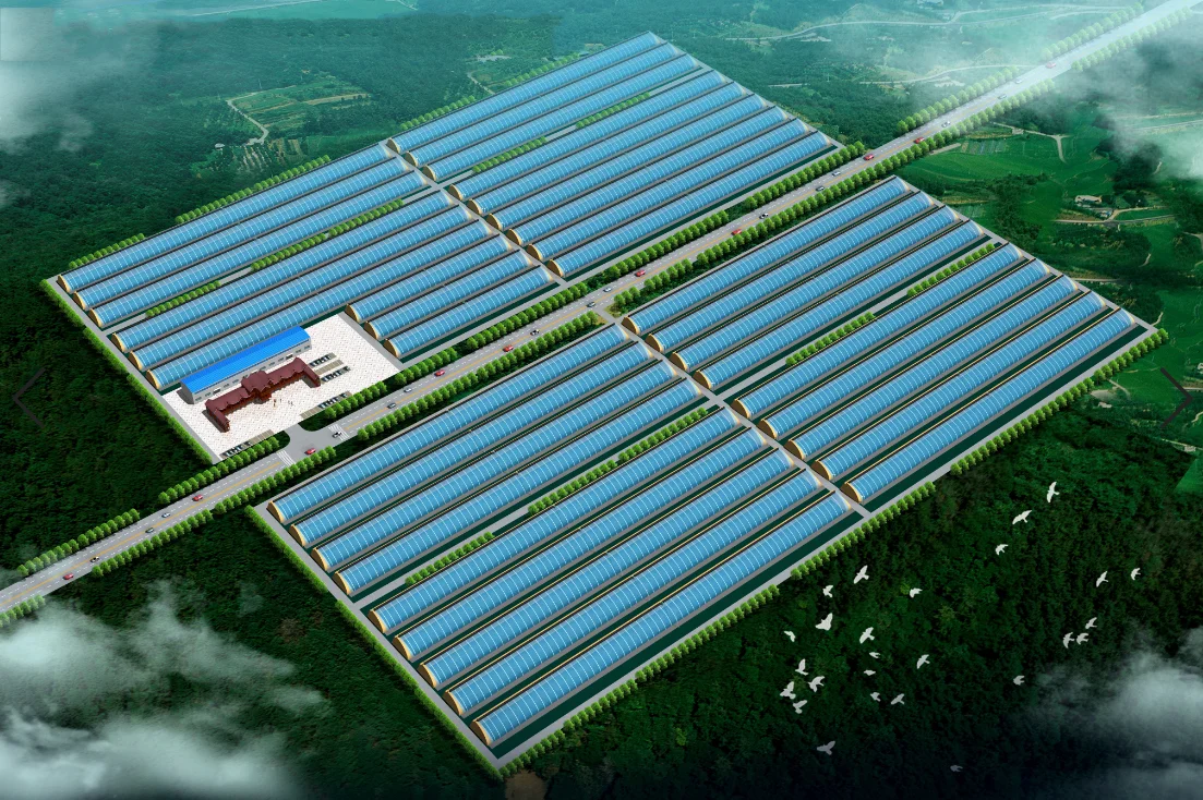 Uv Film High Quality Economic Poly Farm Machinery Nft Hydroponic System Dutch Bucket Plastic Tunnel Multispan Greenhouse