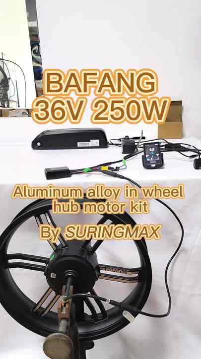 BAFANG 36V 250W E-Bike Rear Drive Conversion Kit for 20