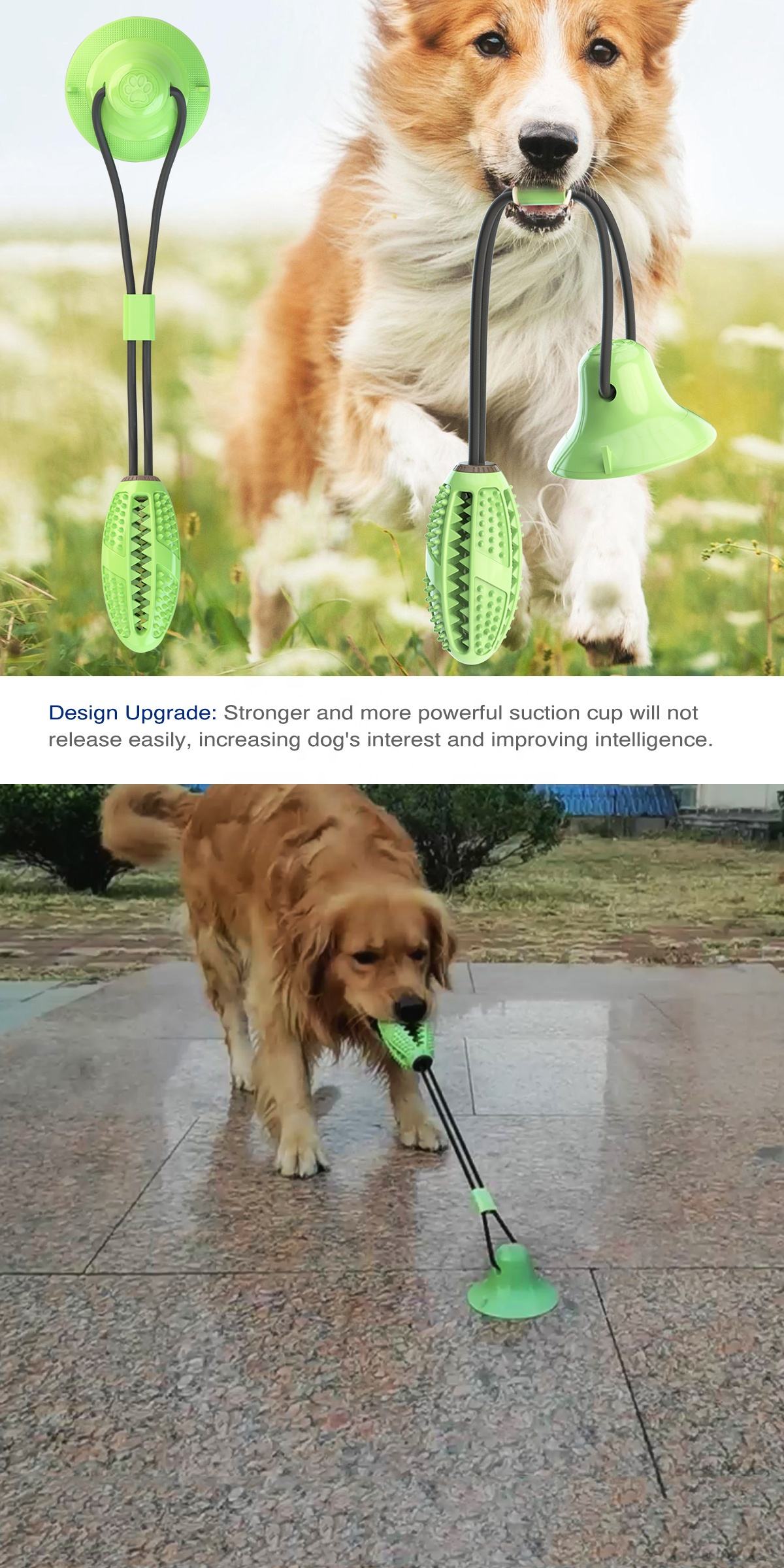 dog toy squeakers bulk