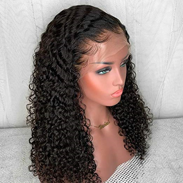 Premier Pre Plucked Hairline Curly Full Lace Mink Brazilian Hair Wig