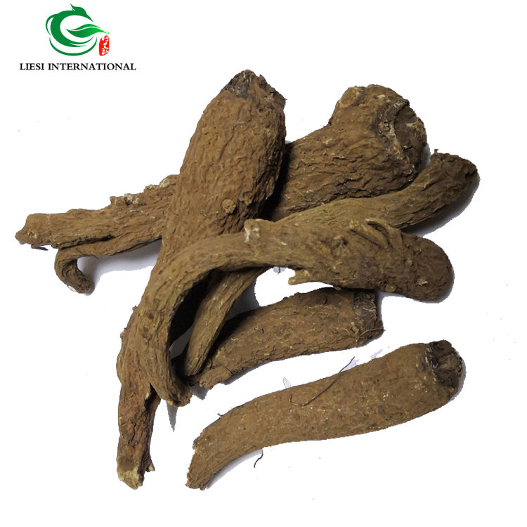Arctium lappa root extract. Соссюрея костус. Lappa root extract. Соссюрея костус. Кыст аль хинди дерево.