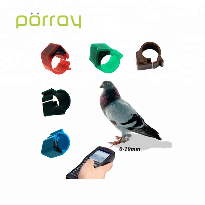 Кольцо с голубками. Кольцо на голубе. Кольцо голубь серебро. Кольцо на голубе. Кольцо на голубе.