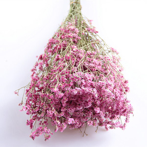 Dried Flowers Babysbreath Preserved Flower Long Life Gypsophila