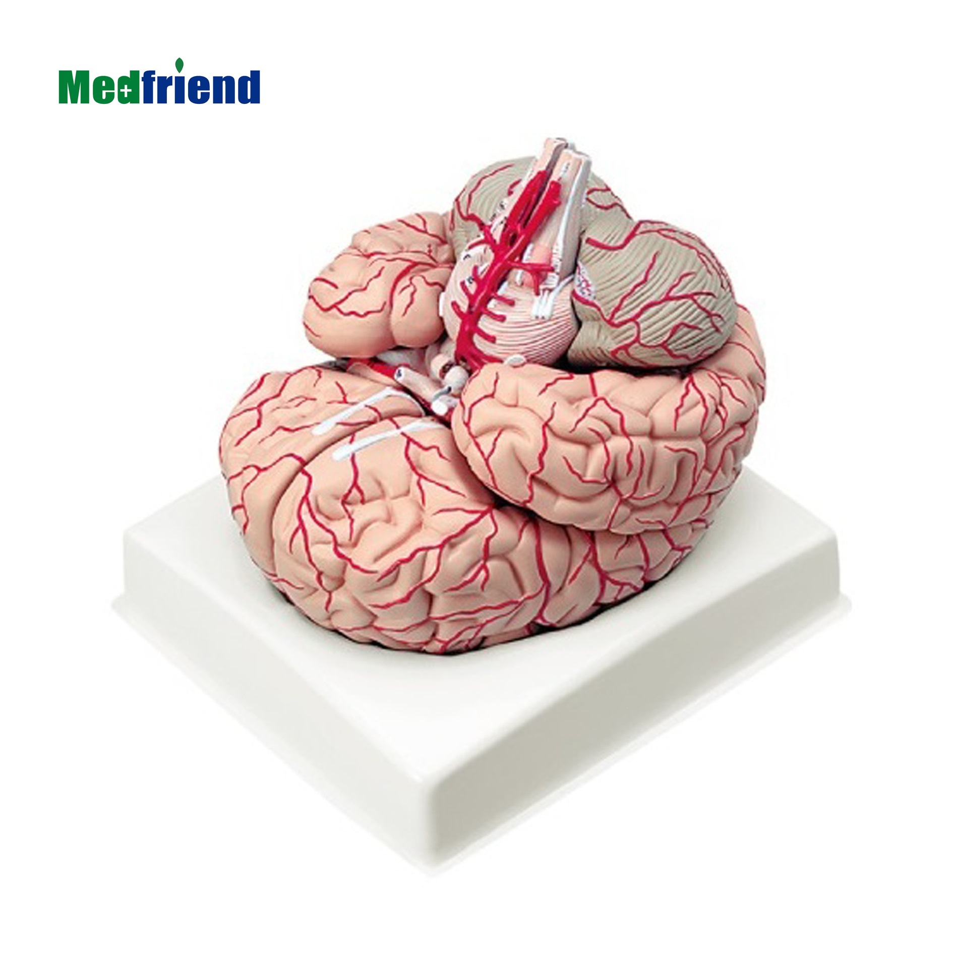 Искусственный мозг. Мозг и сердце. Что такое искусственный мозг. Искусственный мозг выращенный. Мозг робота.