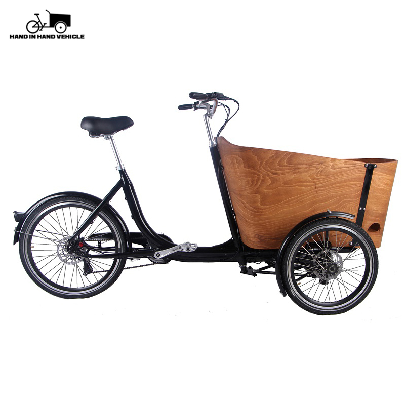 trike bike with baby seat
