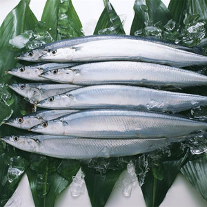 frozen fish-frozen fish manufacturers, suppliers an