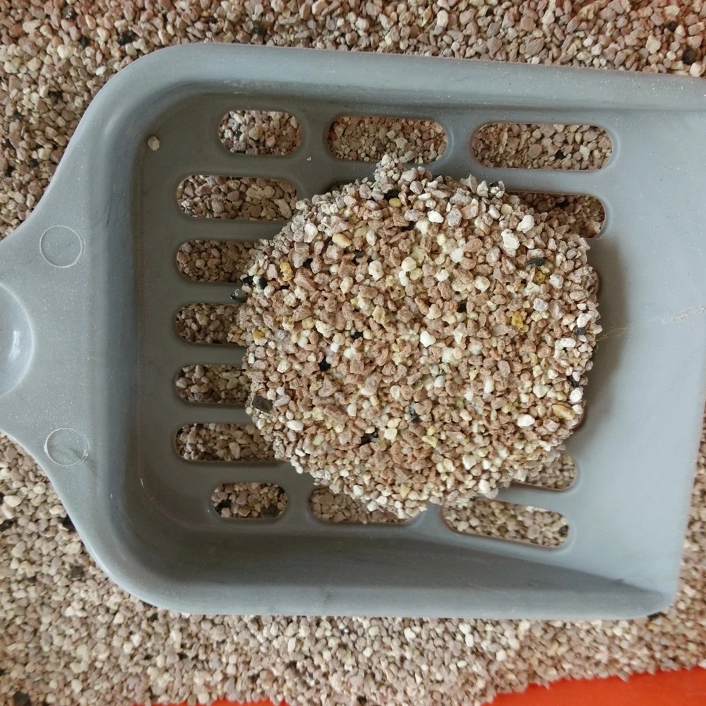 Песок для кошек. Комкующийся глиняный наполнитель для кошек. Песок для кошек. Песок для кошачьего туалета. Кошачий лоток с песком.
