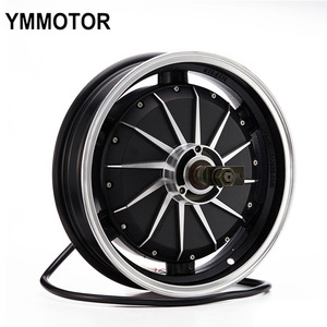 12 volt hub motor