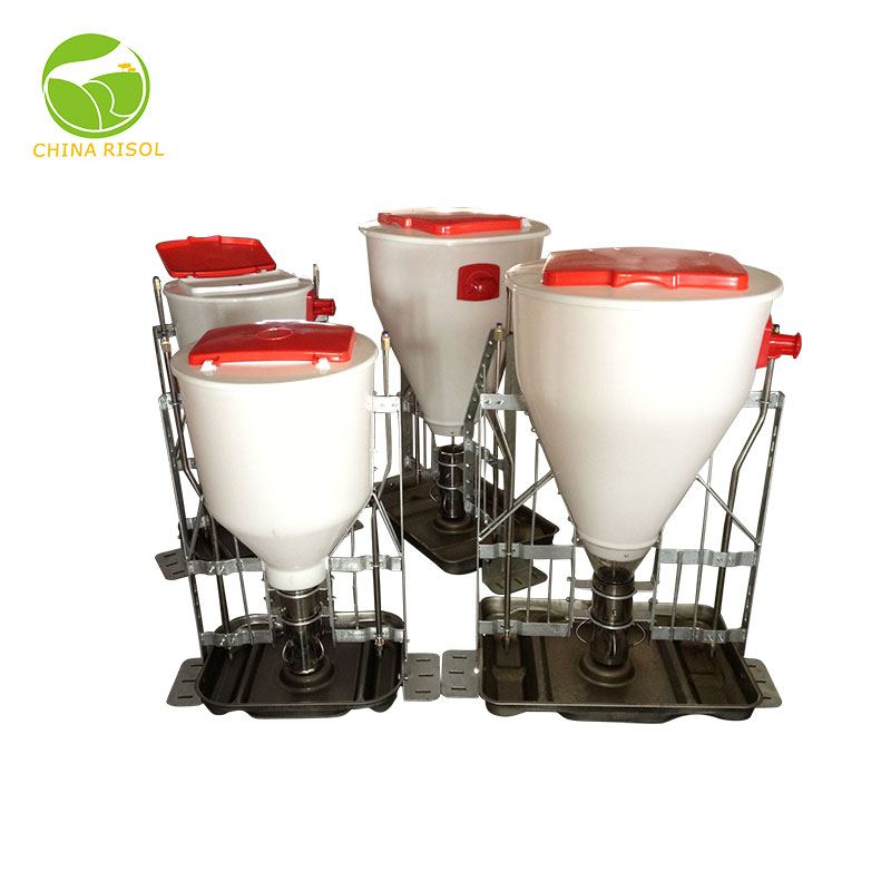 Automatic Timed Feeder Pig Automatic Timed Feeder Pig Suppliers