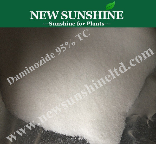 Professio<i></i>nal Manufacturer Plant Growth Regulator B9 95% TC