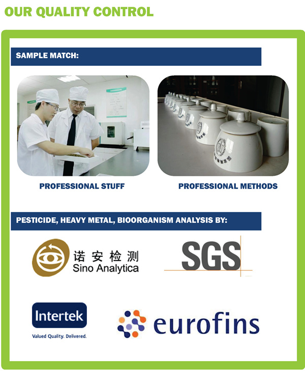 Yunnan Pu<i></i>'er mini tuo cha china tea Brick mint Puer tea high grade classic shu puerh tuo cha