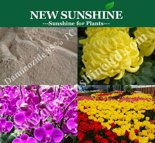 Professio<i></i>nal Manufacturer Plant Growth Regulator B9 95% TC