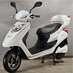 48V lead acid battery cheap electric bike