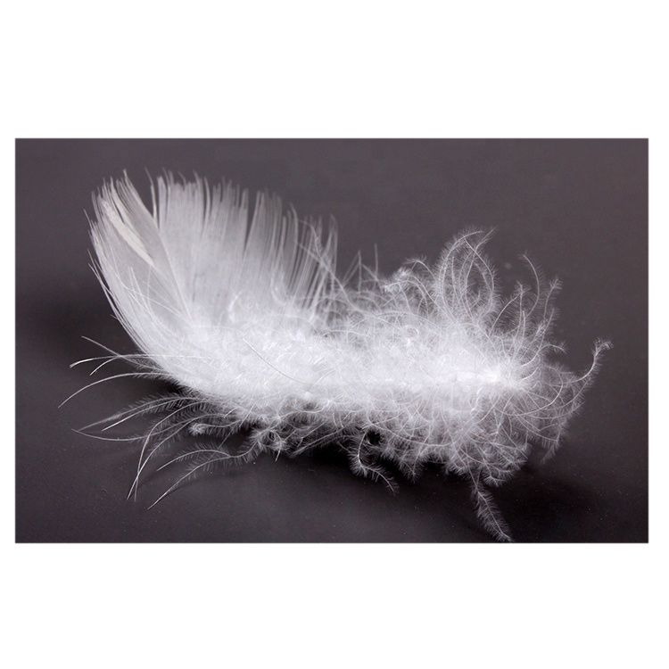 наполнитель гусиный пух. пух для детей. гусиный пух. утиный или гусиный пух лучше. опушка из гусиного пуха.