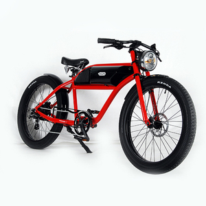 lowrider electric bike