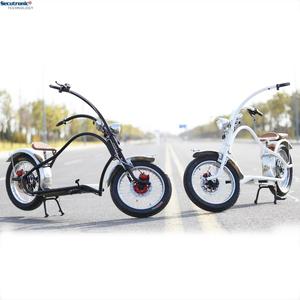 rechargeable bike for adults