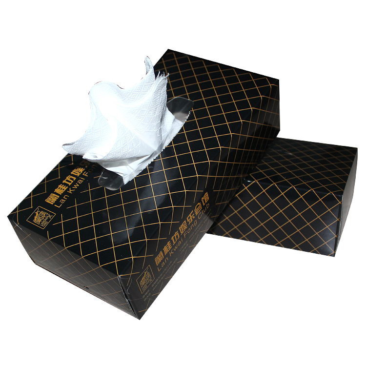Native Wood Pulp Box Facial Tissue