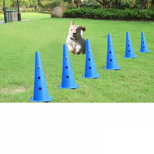 second hand dog agility equipment