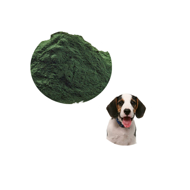Натуральный spirulina alga chorella для собак белок порошок best собака еда Дополнение поставщик в Китае