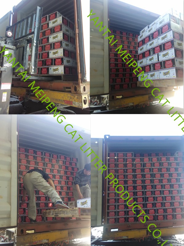 product-707-943 2023 Trending Products Pet Supplies China Cat Cleaning for Cats 100% Natural Sodium Bentonite Fragrance Cat Litter Irregular