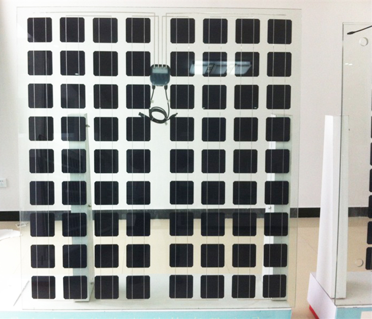 Yangtze BIPV Double glass or single glass 24v 230w 240w 250w 260w 270w transparent solar pv module