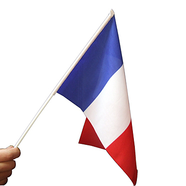 hand waving flag