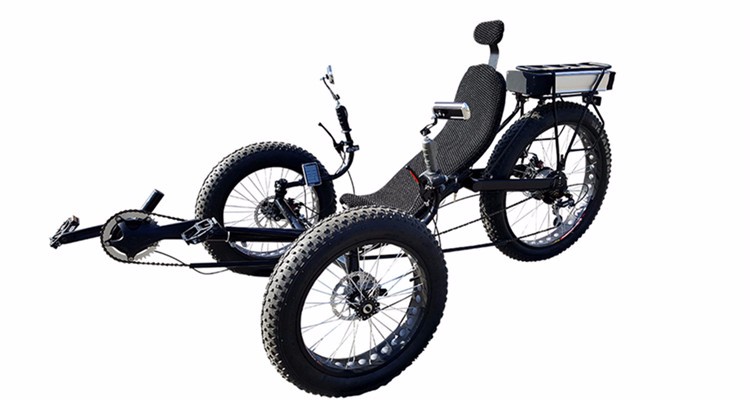 Outdoor Off-Road 3 Wheel Electric Bike with 500W Motor & 48V