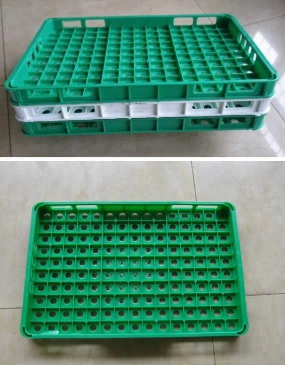 Пластиковый лоток для перепелов