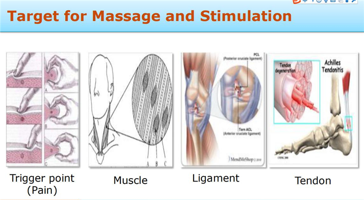 E0428 Handheld Ultrasonic Comfortable Stainless Steel  Electric Head massage Scalp Massager