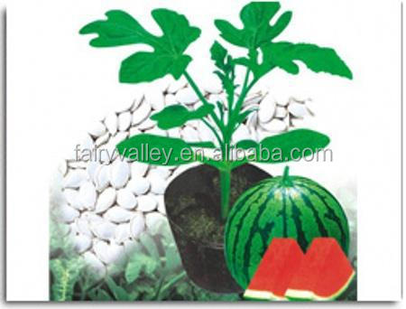 китайский подвой для арбуза. -подвои подвои для арбузов дынь. семена подвоя для дыни. рутпауэр подвой. китайский подвой для арбуза.