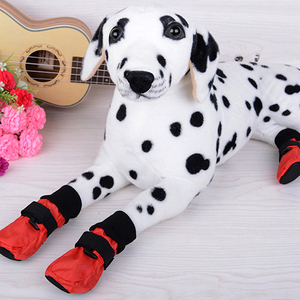 dog sneakers jordans