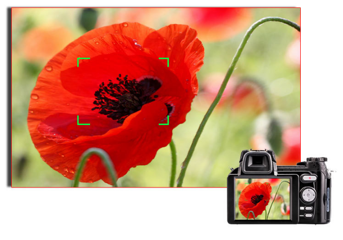Autofocus full hd digital camera with 3 lenses can switch external flash DSLR