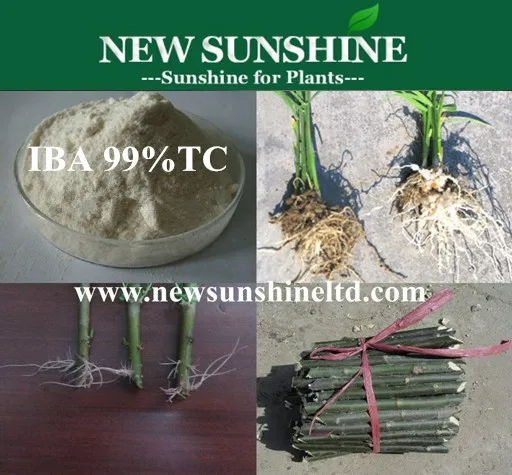 99% Root Hormone IBA High Quality Indole Butyric Acid Iba agricultural chemical Indole butyric acid IBA